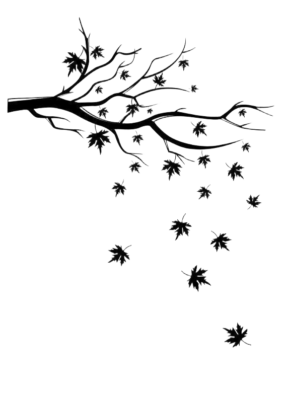 tree-branch